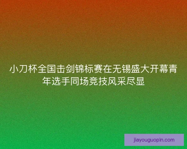 小刀杯全国击剑锦标赛在无锡盛大开幕青年选手同场竞技风采尽显